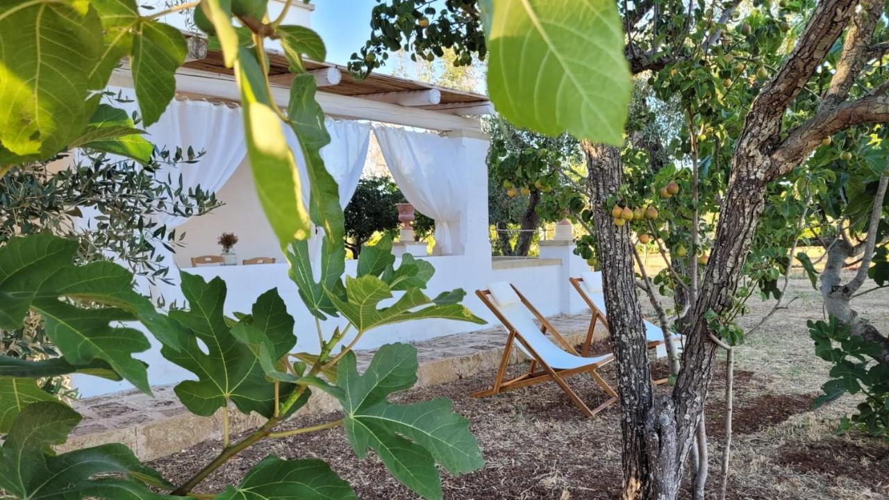 Masseria Ferarelli Trepizzi Diso Εξωτερικό φωτογραφία