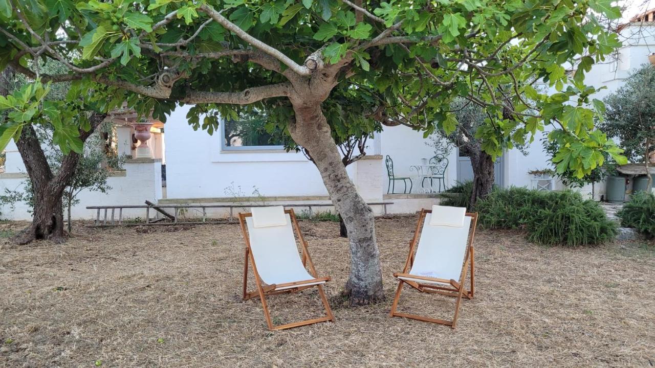 Masseria Ferarelli Trepizzi Diso Εξωτερικό φωτογραφία